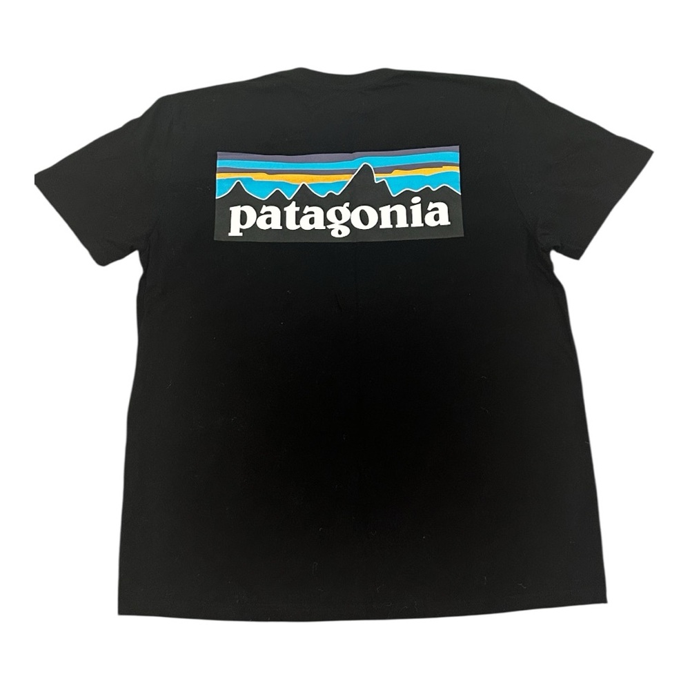 Patagonia T-Shirt SIZE LARGE